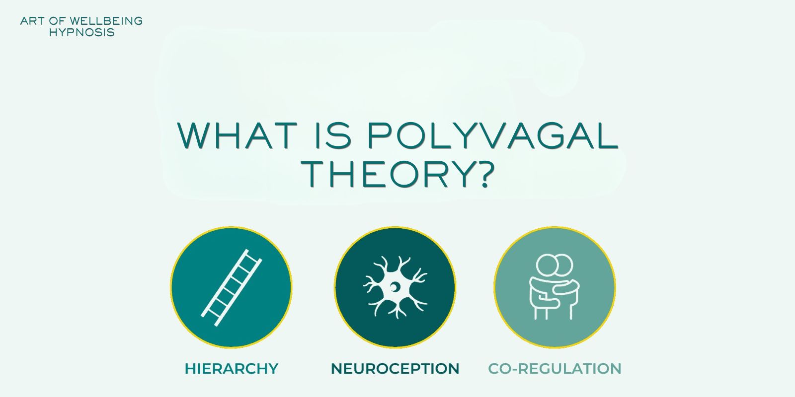 polyvagal theory for beginners